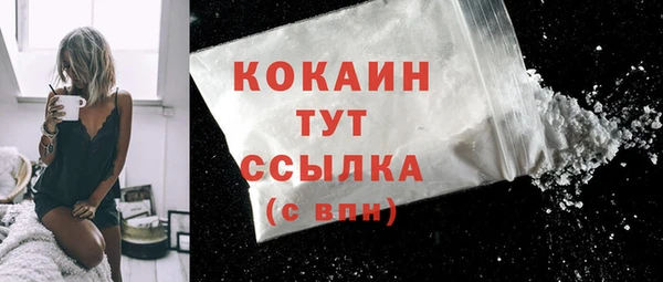индика Кинешма