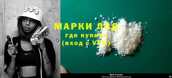 индика Кинешма