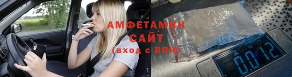 индика Кинешма