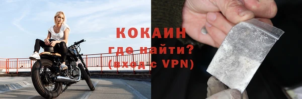 индика Кинешма
