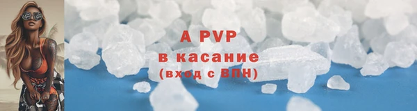 индика Кинешма