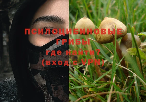 индика Кинешма