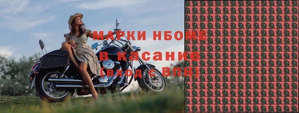 гашик Карпинск