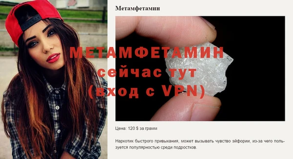 индика Кинешма